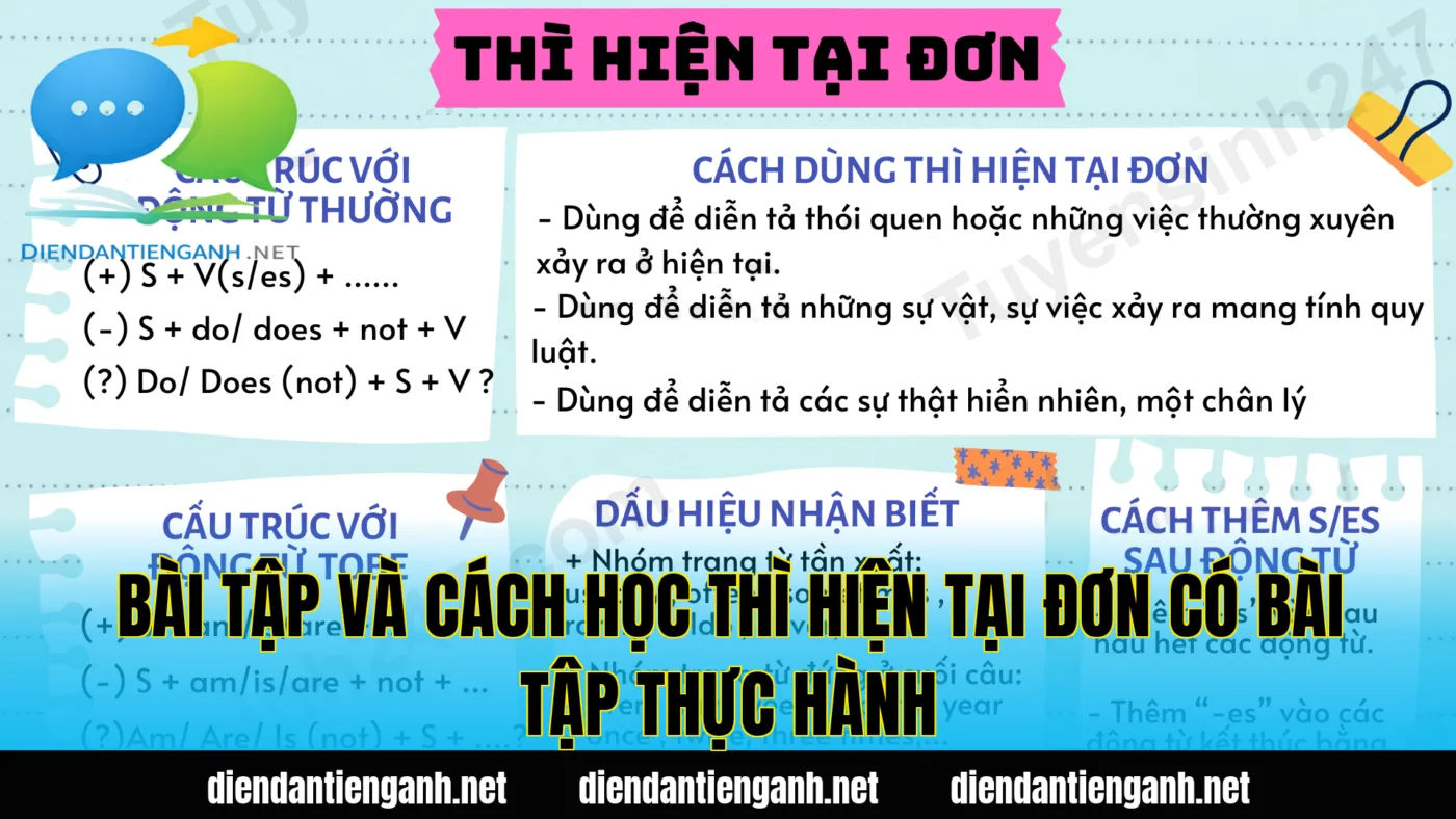 bài tập và cách học thì hiện tại đơn có bài tập thực hành