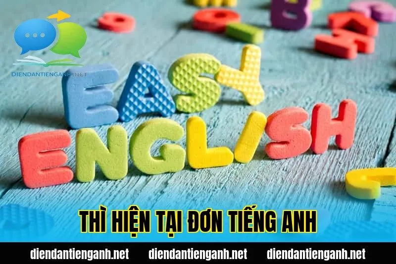 thì hiện tại đơn tiếng anh