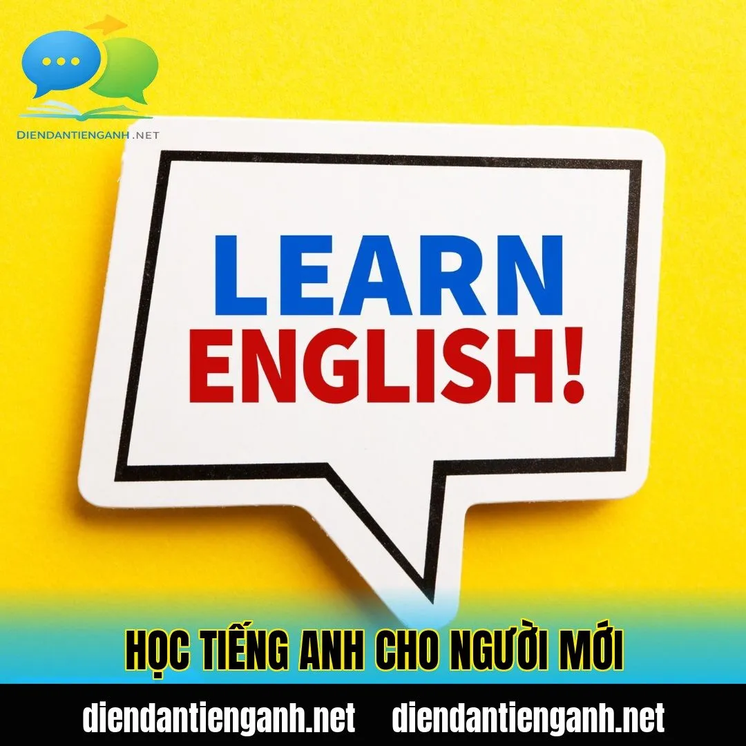 học tiếng anh cho người mới