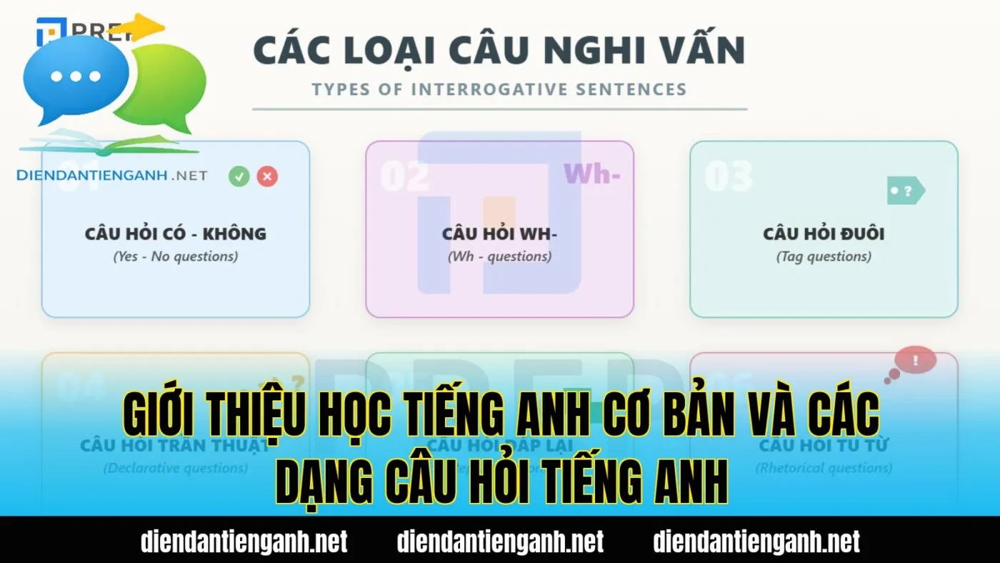 Giới thiệu học tiếng Anh cơ bản và các dạng câu hỏi tiếng Anh
