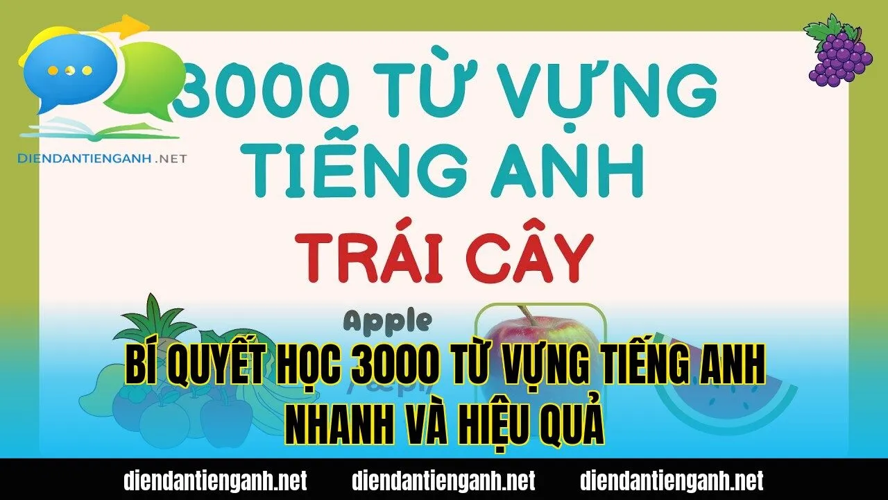 Bí quyết học 3000 từ vựng tiếng Anh nhanh và hiệu quả