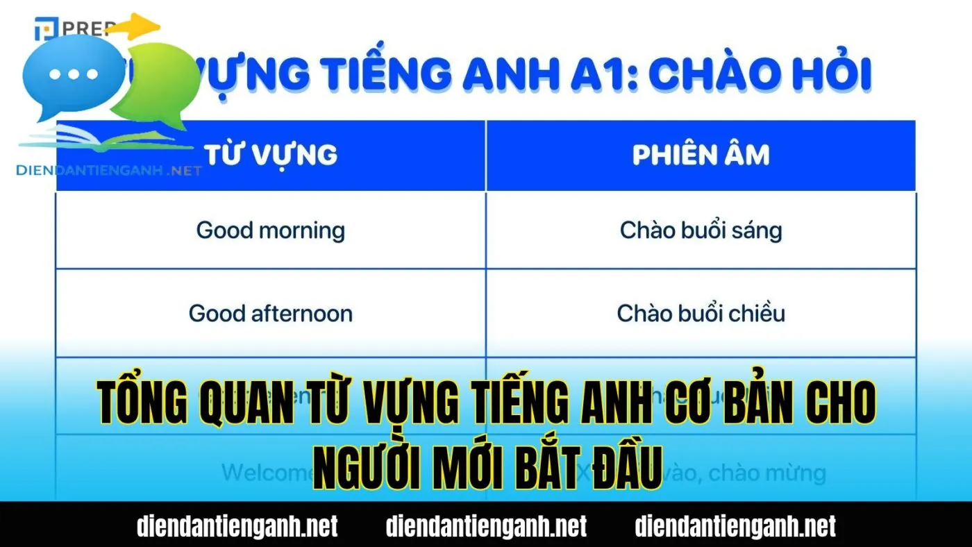 tổng quan từ vựng tiếng anh cơ bản cho người mới bắt đầu